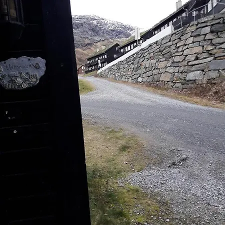 Apartement Alpingrend * Røldal